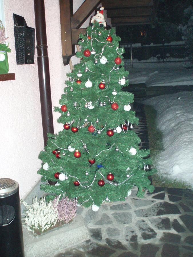 Casa Salvaterra Affittacamere Пинцоло Екстериор снимка